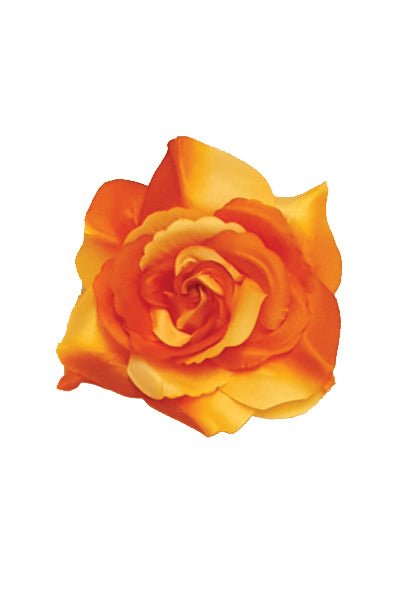 5" Rose (8 colors) - Pure Flamenco