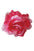 6" Rose (8 colors) - Pure Flamenco